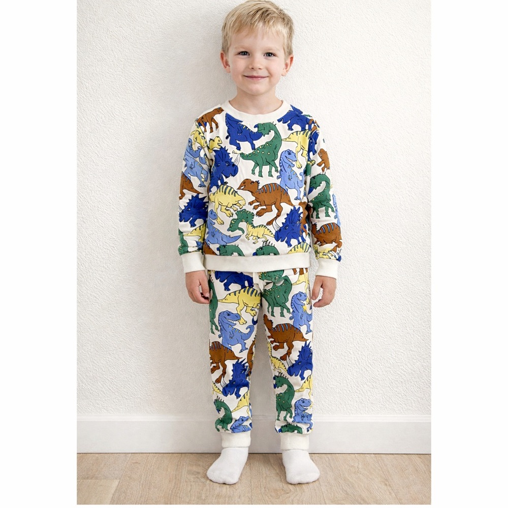 H&M Dinosaur Sweatshirt & Jogger Set 5T Boys Dino Outfit‎